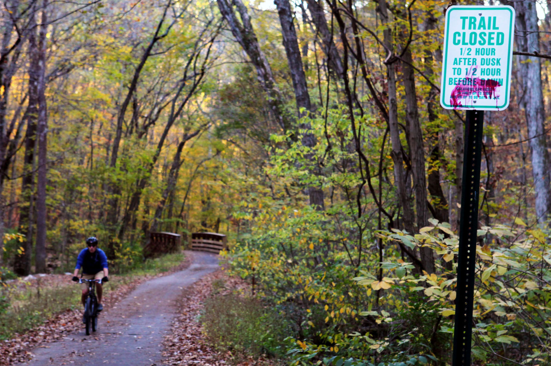 Wildwood's Rock Hollow Trail